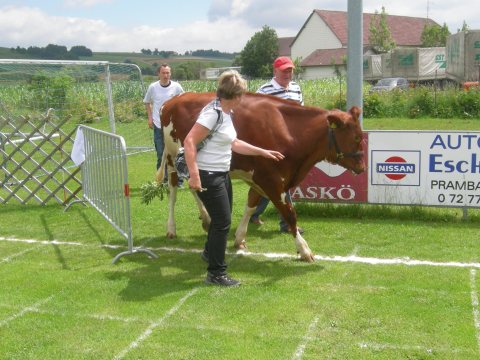 Fladenroulette 2011 – Foto 22