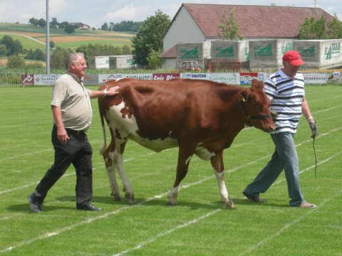 Fladenroulette 2011 – Foto 49