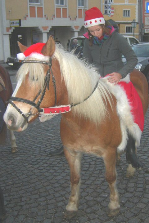 Punschstand 2011 – Foto 31