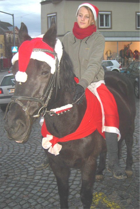 Punschstand 2011 – Foto 32