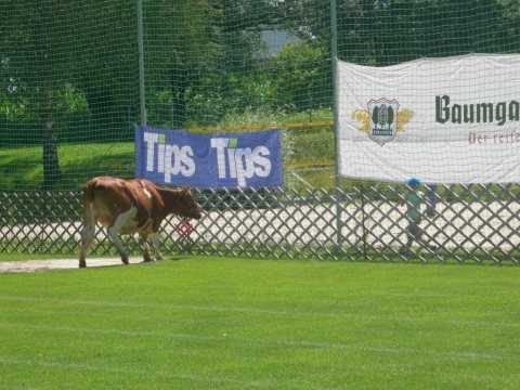 Fladenroulette 2012 – Foto 45
