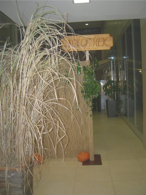 Schlossheuriger 2012 – Foto 3