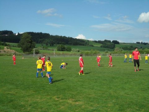20.06.2014 U9 Turnier – Foto 7