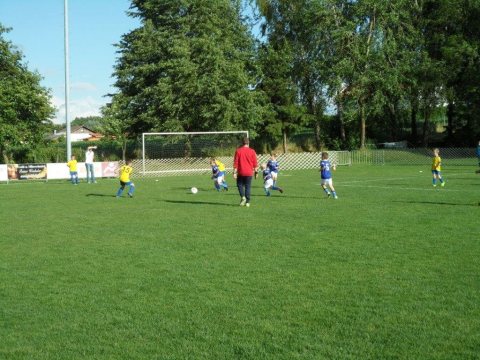 20.06.2014 U9 Turnier – Foto 19