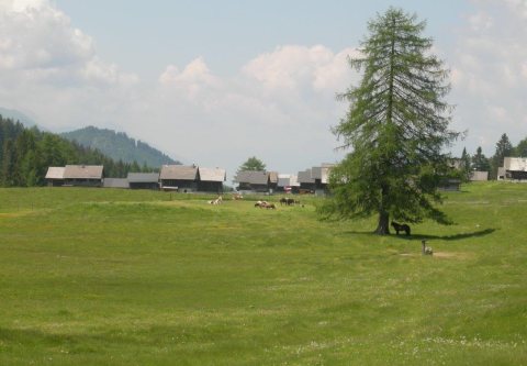 Tennisurlaub 2015 – Foto 80