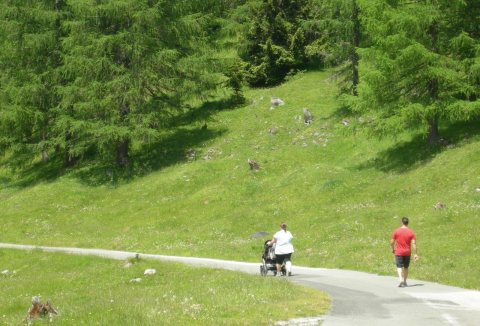 Tennisurlaub 2015 – Foto 81