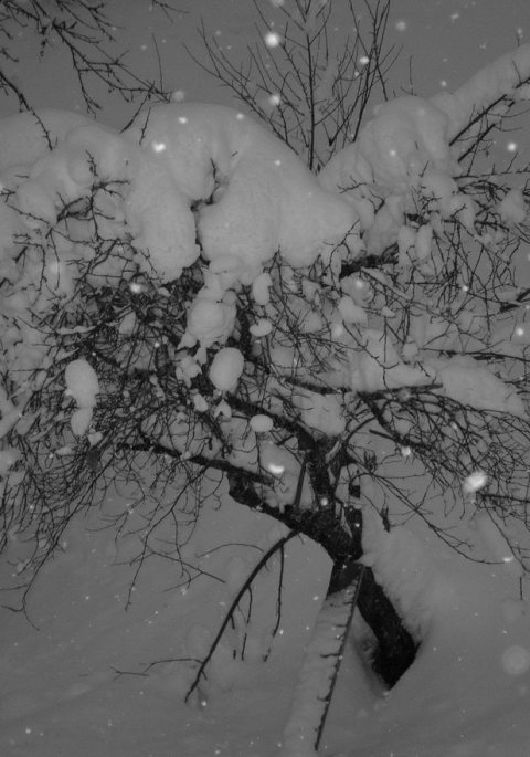 Skiausflug 2016 – Foto 39