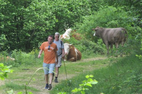 Tennisurlaub 2016 – Foto 99