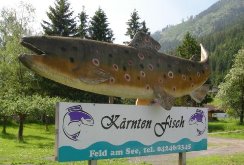 Tennisurlaub 2016 – Foto 105