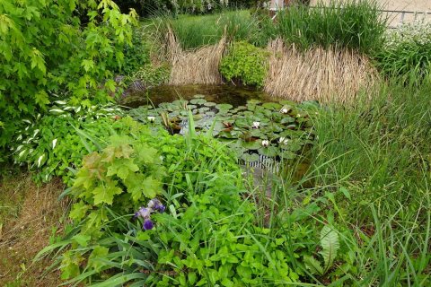 Tennisurlaub 2018 – Foto 15