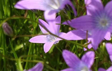 Tennisurlaub 2018 – Foto 49