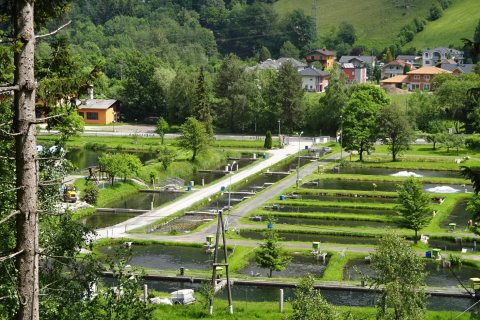 Tennisurlaub 2018 – Foto 51