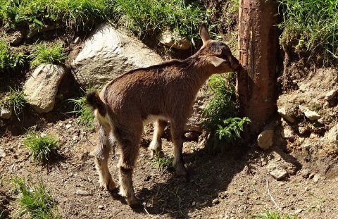 Tennisurlaub 2018 – Foto 153