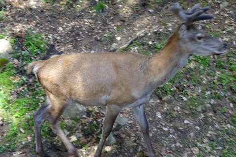 Tennisurlaub 2018 – Foto 169