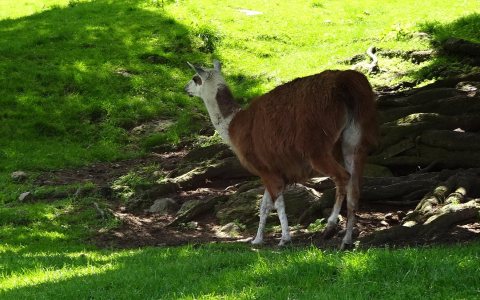 Tennisurlaub 2018 – Foto 173