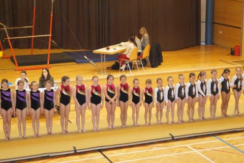 ASKÖ BM 16.03.2014, Timelkam – Foto 51