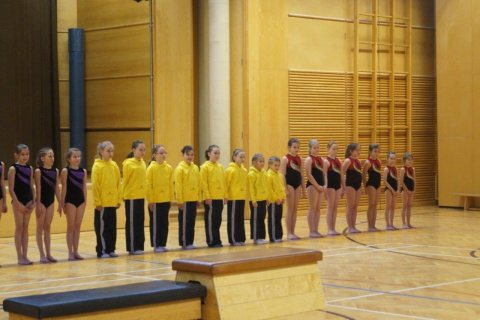 ASKÖ BM 16.03.2014, Timelkam – Foto 112