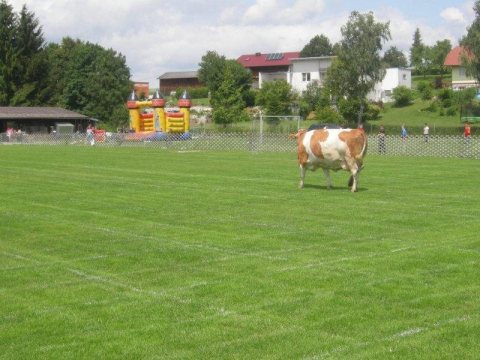 Fladenroulette 2013 – Foto 40