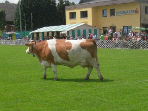 Fladenroulette 2013 – Foto 46