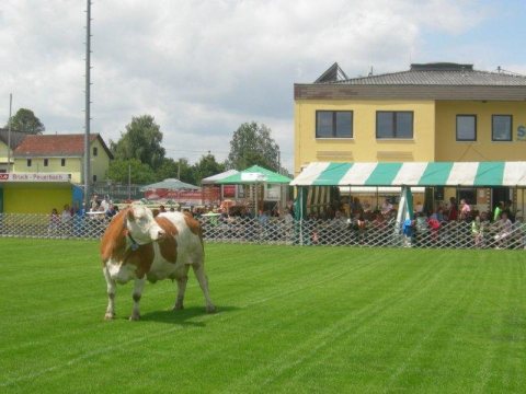 Fladenroulette 2013 – Foto 47