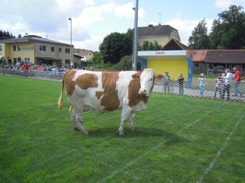 Fladenroulette 2013 – Foto 95
